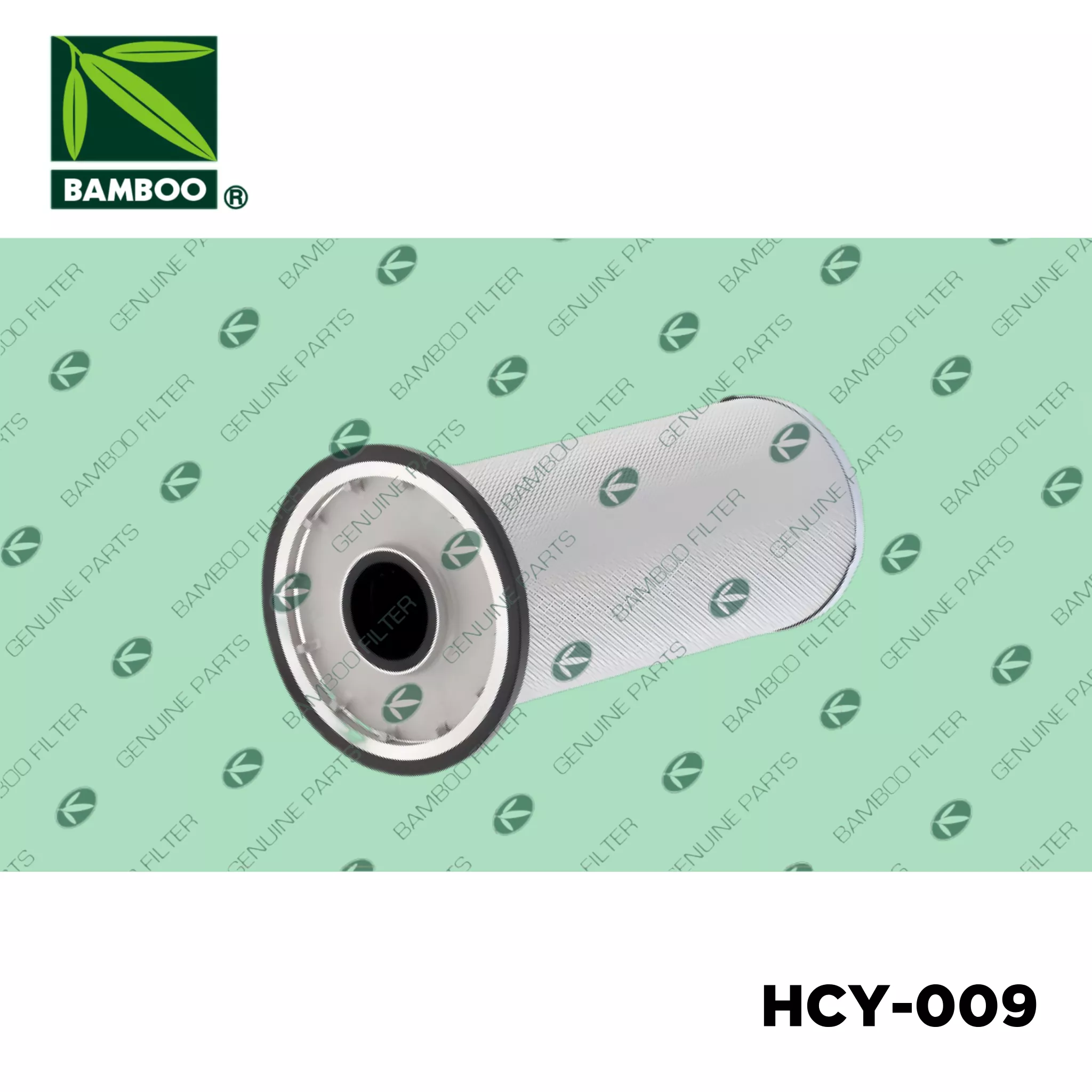 HCY-009