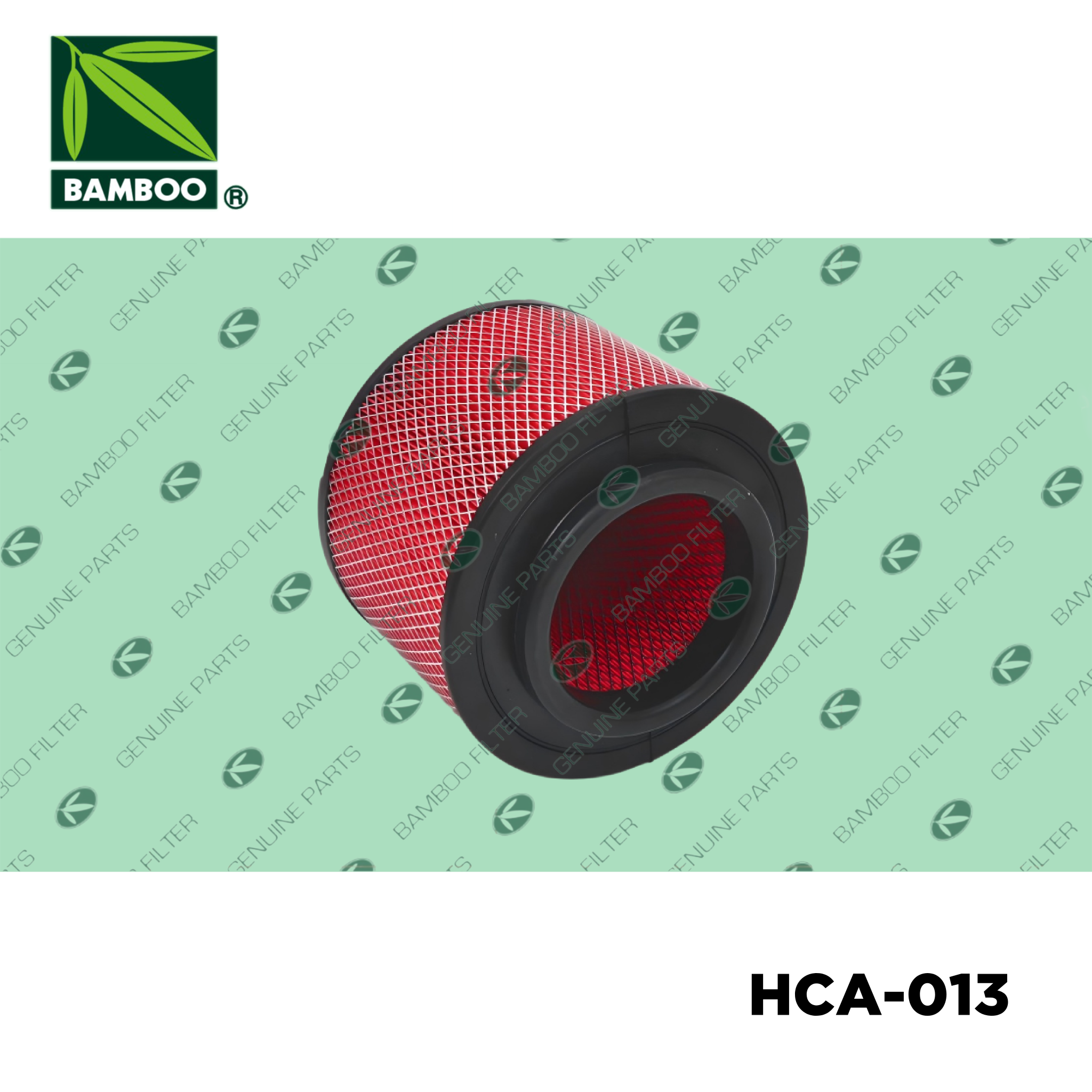 HCA-013