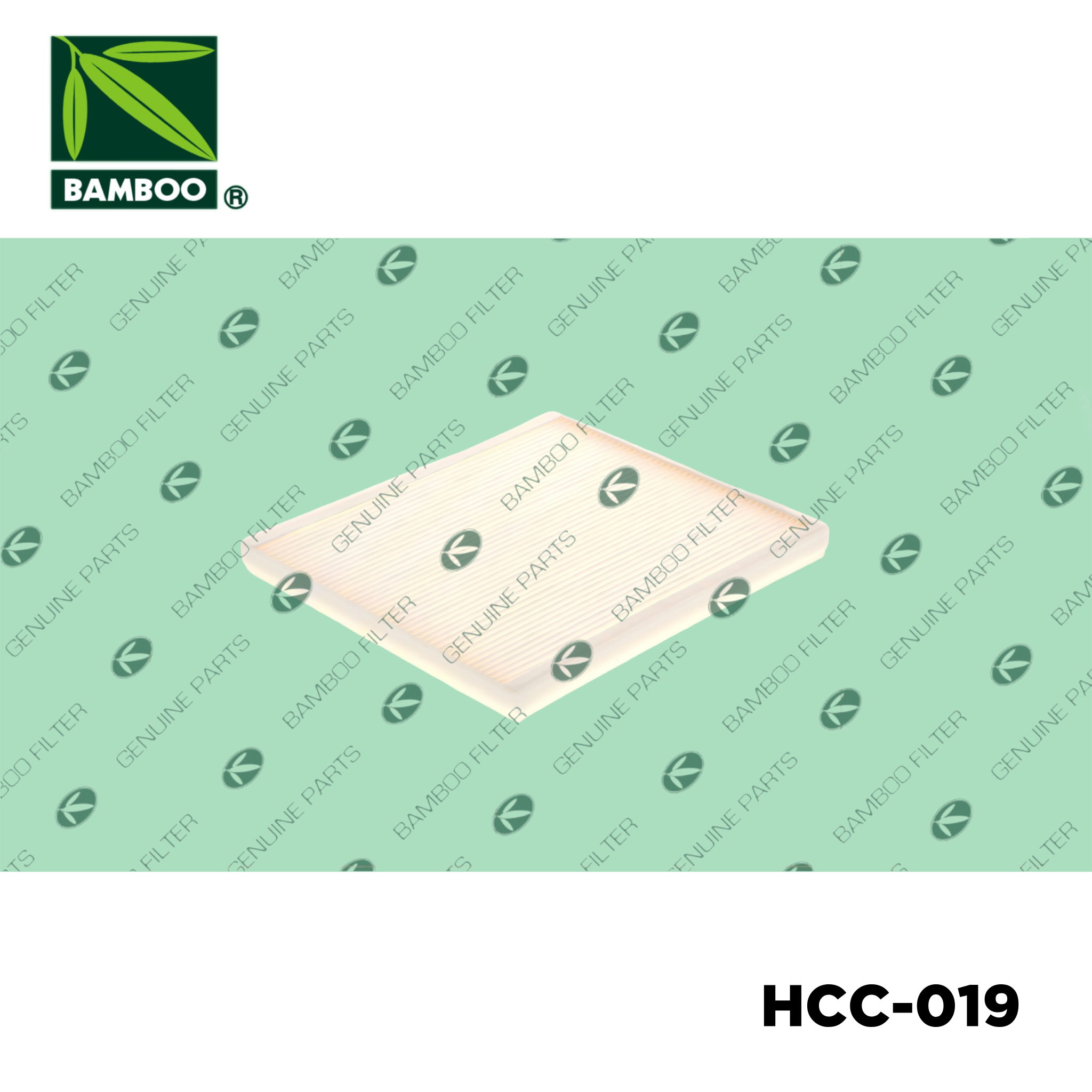 HCC-019
