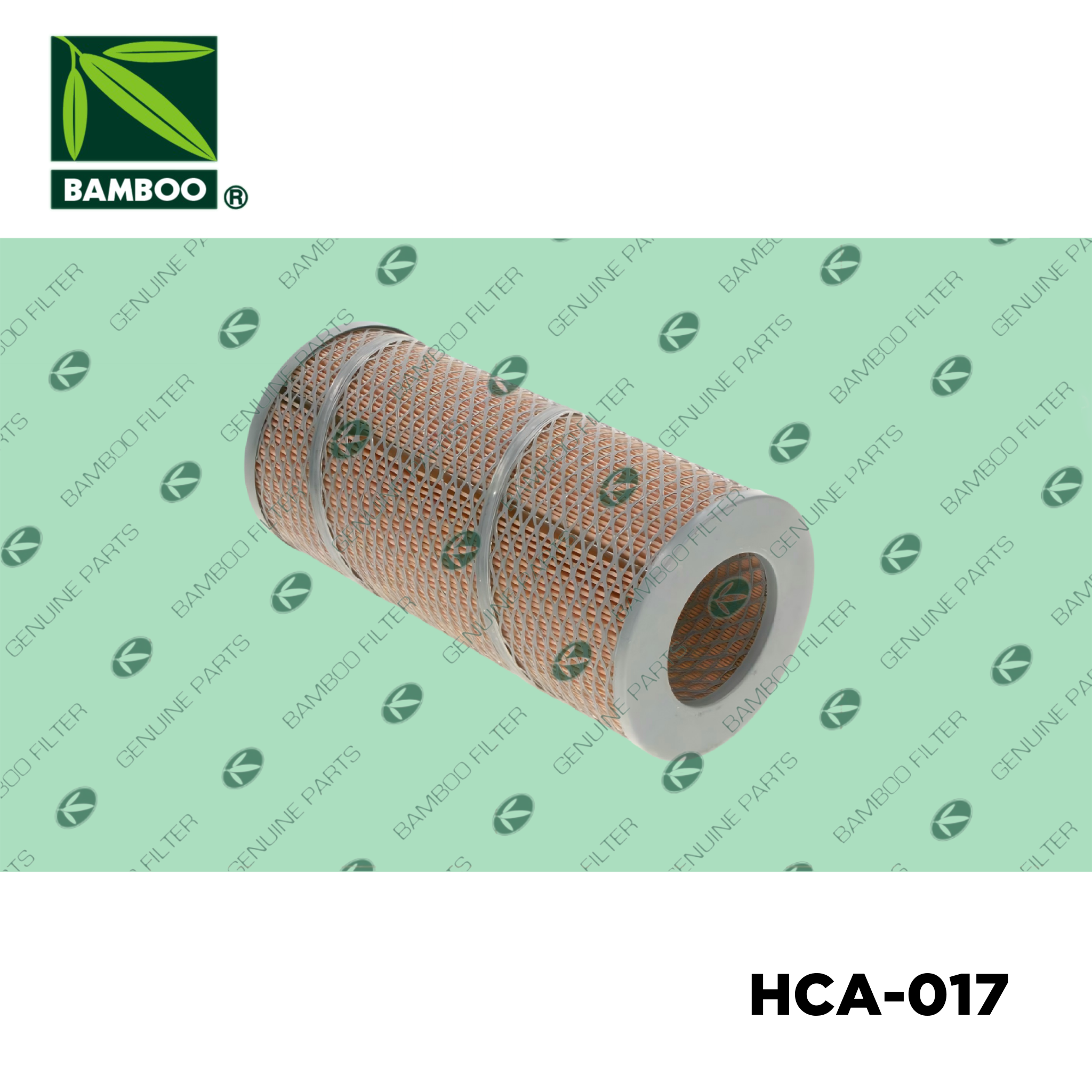 HCA-017