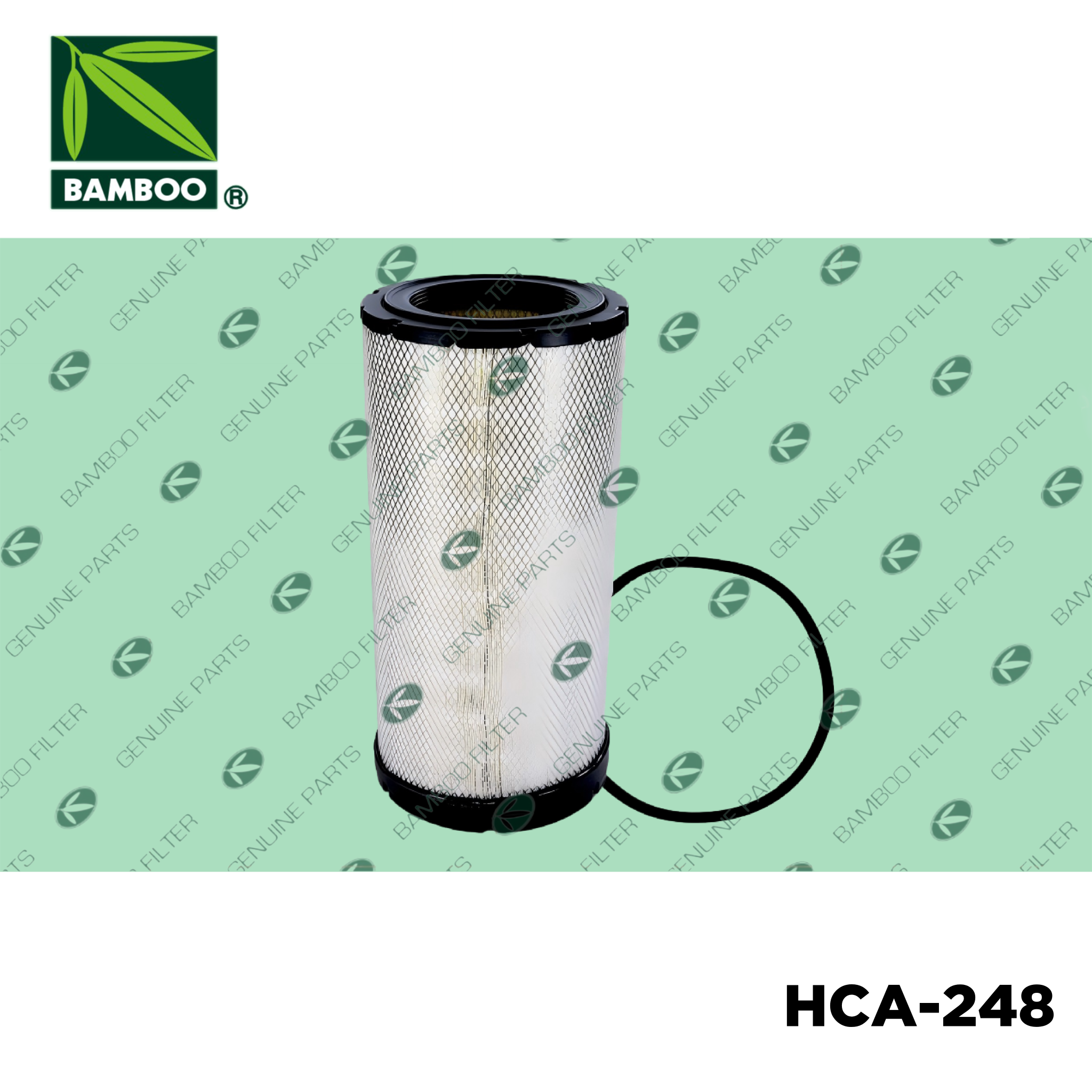 HCA-248