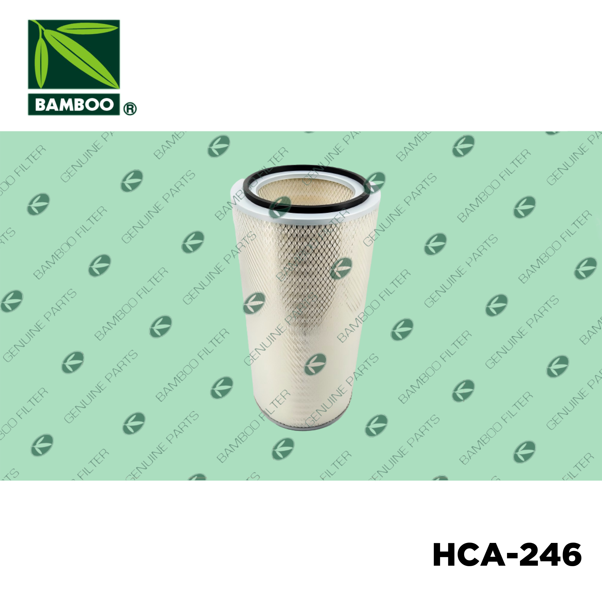 HCA-246
