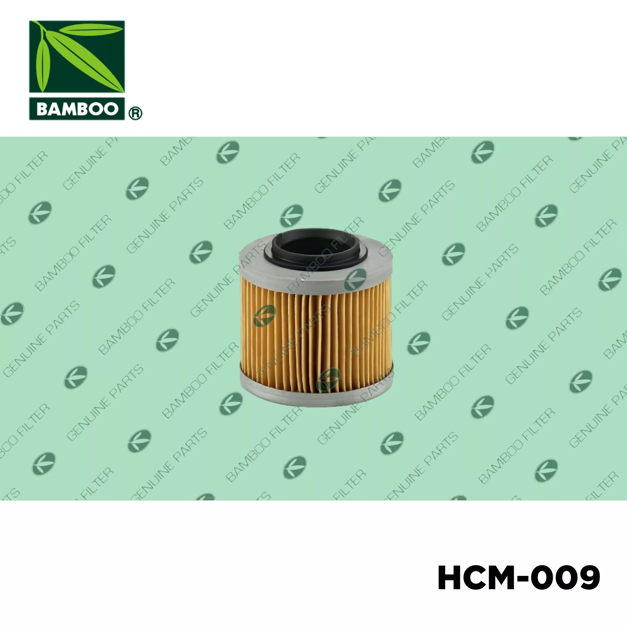 HCM-009 XZM-009
