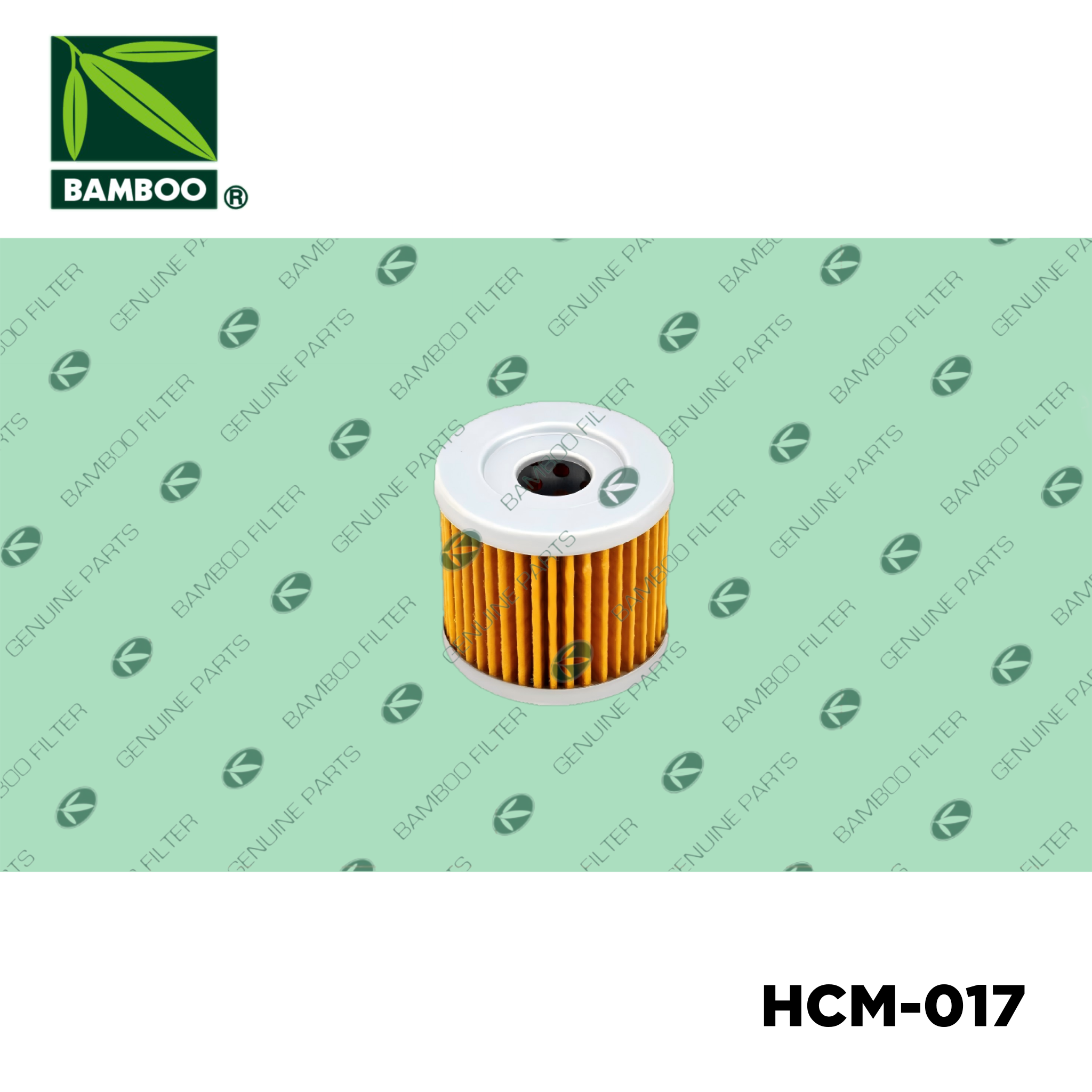 HCM-017 XZM-021