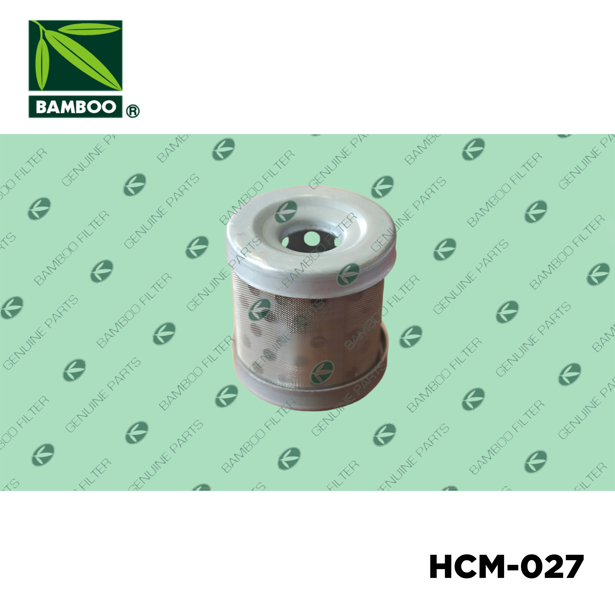 HCM-027