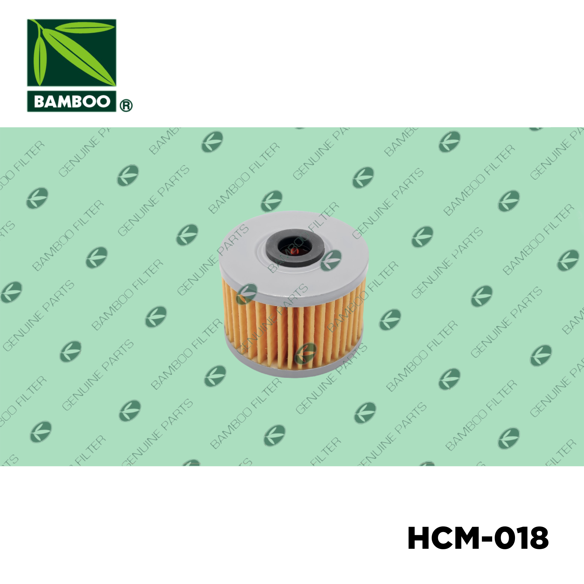 HCM-018